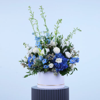 Vibrant floral arrangement in a white box featuring blue and white flowers.