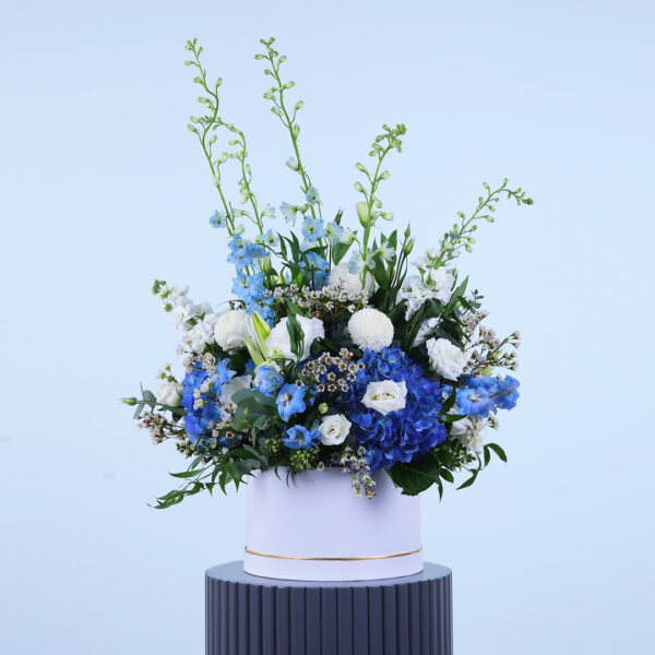 Vibrant floral arrangement in a white box featuring blue and white flowers.