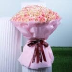Dreamy Pastel Pink Roses