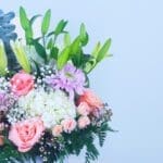 Peach Blossom Box-02