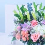 Peach Blossom Box-03