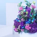 Royal Purple Bloom Box-03