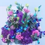 Royal Purple Bloom Box-04