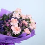 Violet Whispers-02