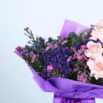 Violet Whispers-03