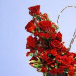 chic-box-of-roses-2026_02