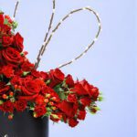 chic-box-of-roses-2026_03