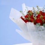 lush-red-rose-bouquet-2026_02
