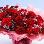 lush-red-rose-bouquet-2026_04