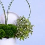 luxurious-flower-box-2026_03