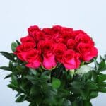 Romantic Fresh Pink Roses-04