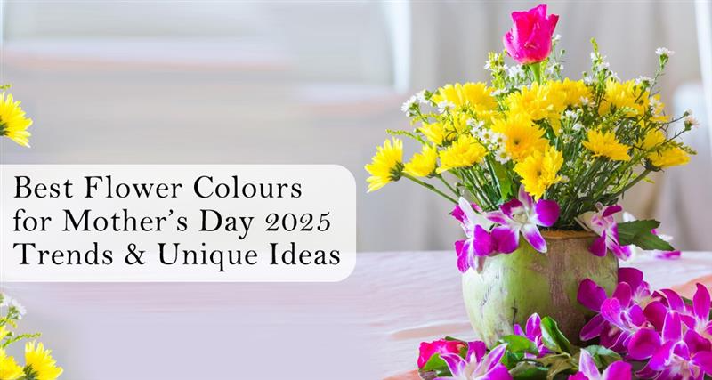 Discover the best flower colours for Mother’s Day 2025! Explore trending hues, symbolic blooms & unique ideas to make her day extra special.