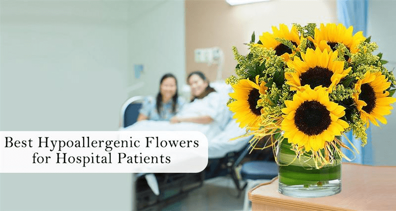 Discover the best flowers for hospital patients, including hypoallergenic options. Learn which flowers to avoid and the safest choices for someone in the hospital.
