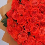 orange-rose-spritz_2026_02