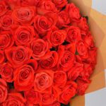 orange-rose-spritz_2026_03