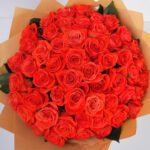orange-rose-spritz_2026_04