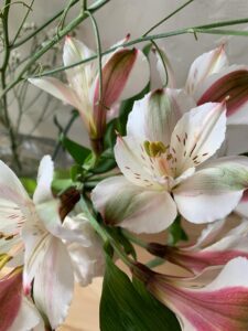 Alstroemeria flowers. These flowers are characterized by their six petals, often with streaks or spots, and their lily-like appearance