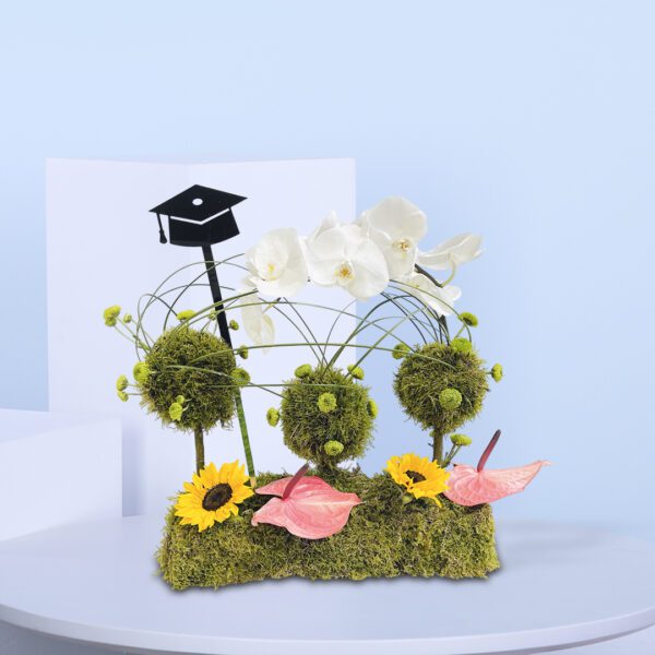 Graduation flower arrangement with orchids, sunflowers, moss balls, and a grad cap on a moss base.
