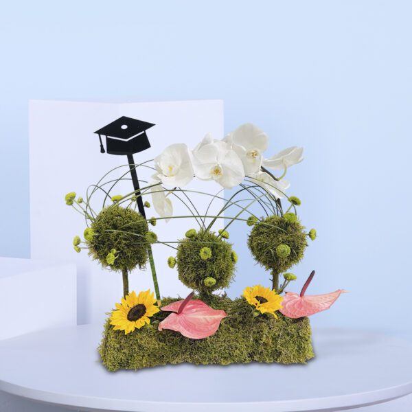 Graduation flower arrangement with orchids, sunflowers, moss balls, and a grad cap on a moss base.