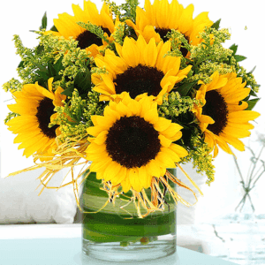 This sunflower bouquet of bright yellow fresh sunflower is sweetly presented in a designer’s vase.