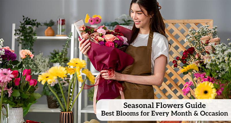 Seasonal Flowers Guide: Best Blooms for Every Month & Occasion