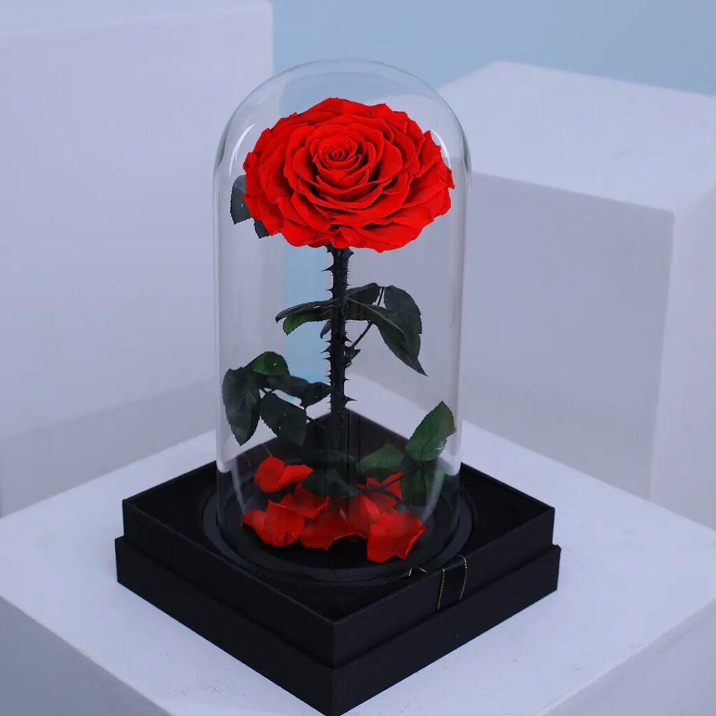 Romantic red forever rose preserved in dome –