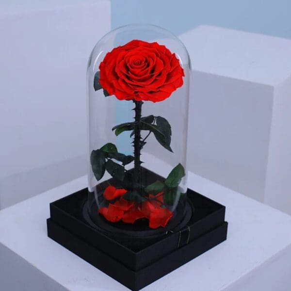 02 Romantic red forever rose preserved in dome –