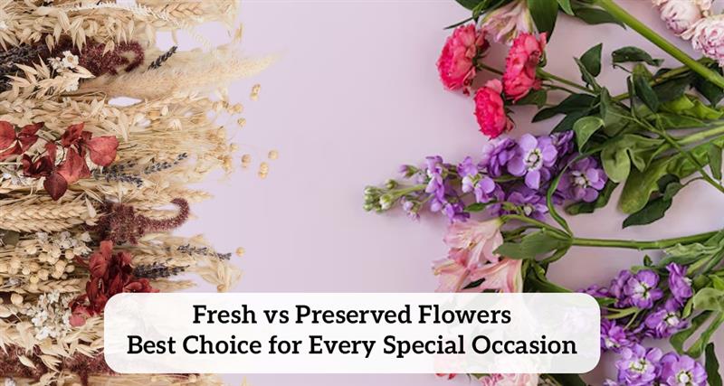 Fresh vs preserved flower. Discover which suits your occasion, lifestyle, and budget. Explore lasting beauty or vibrant freshness in this guide.