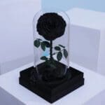 single-black-forever-rose 01