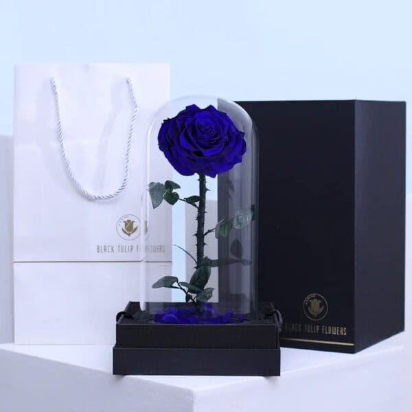 single-blue-forever-rose 01 Blue preserved forever rose displayed under glass dome