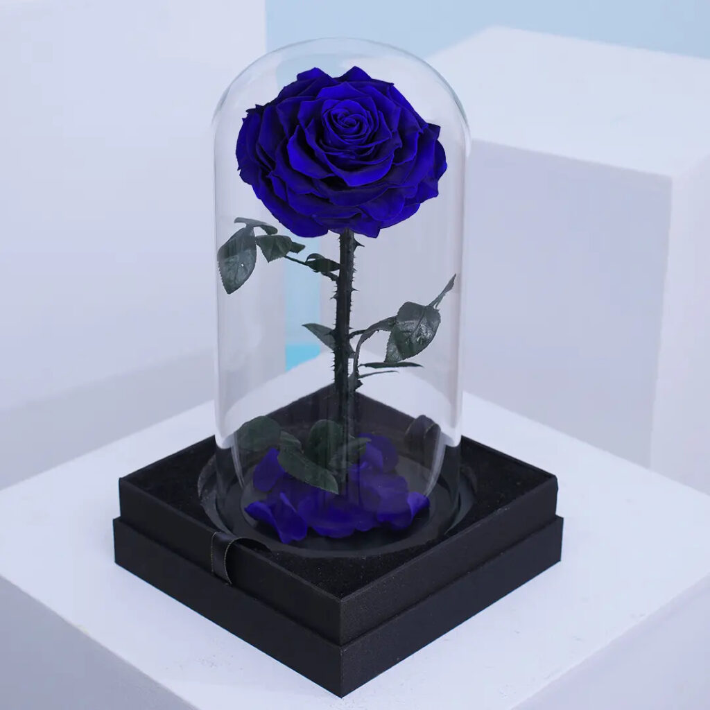 Blue preserved forever rose displayed under glass dome