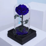 single-blue-forever-rose 02