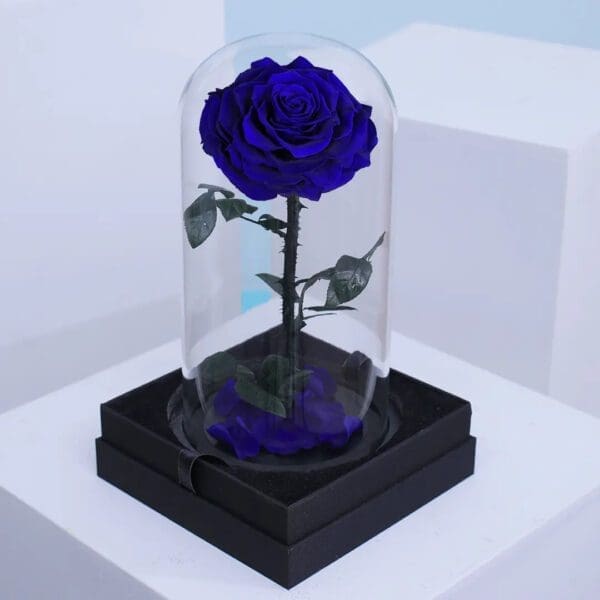 single-blue-forever-rose 02 Blue preserved forever rose displayed under glass dome