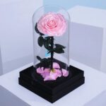 single-pink-forever-rose 01