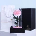single-pink-forever-rose 03