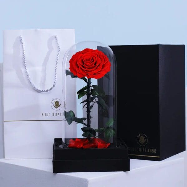 single-red-forever-rose Romantic red forever rose preserved in dome –