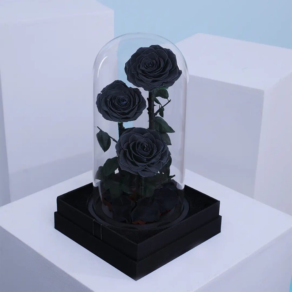 Trio of black preserved roses under dome with black base
