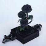 trio-black-forever-rose 02