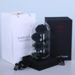 trio-black-forever-rose 05