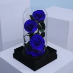 trio-blue-forever-rose 01