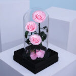 trio-pink-forever-rose 01