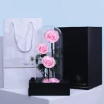 trio-pink-forever-rose 03