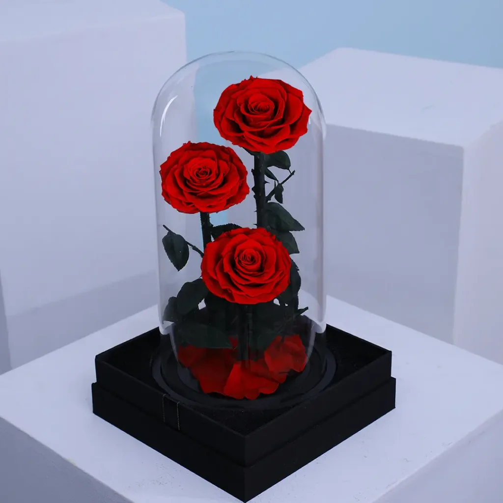 Trio of preserved red roses in dome