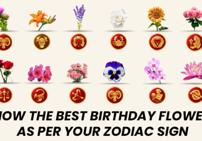 A colorful display of birthday flower bouquets matched to zodiac signs, featuring blooms like lilies for Taurus, roses for Leo, and orchids for Aquarius, arranged on a zodiac-themed background.