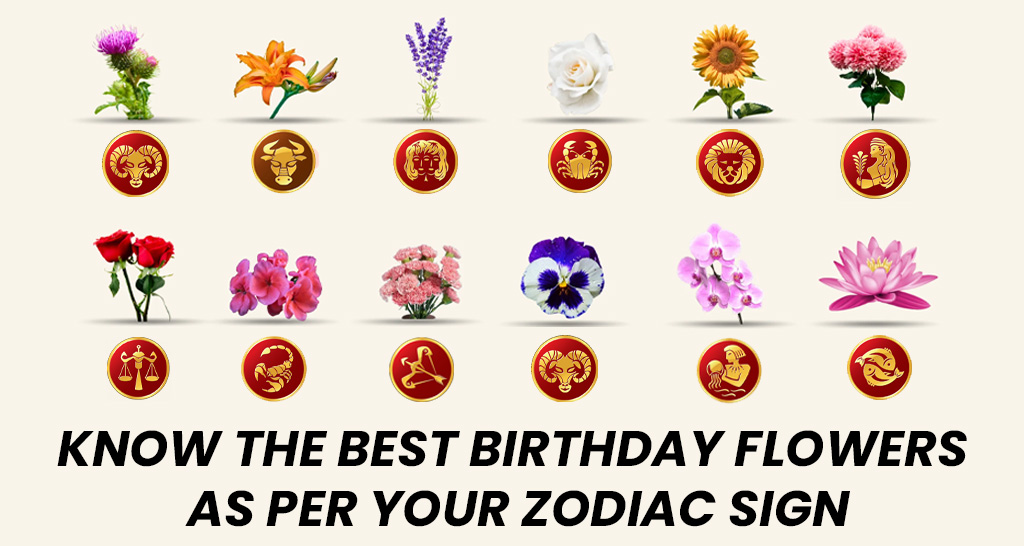A colorful display of birthday flower bouquets matched to zodiac signs, featuring blooms like lilies for Taurus, roses for Leo, and orchids for Aquarius, arranged on a zodiac-themed background.