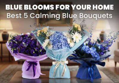 Beautiful calming blue flower bouquets arranged for home décor, featuring the best five blue blooms that bring peace and elegance to any space.