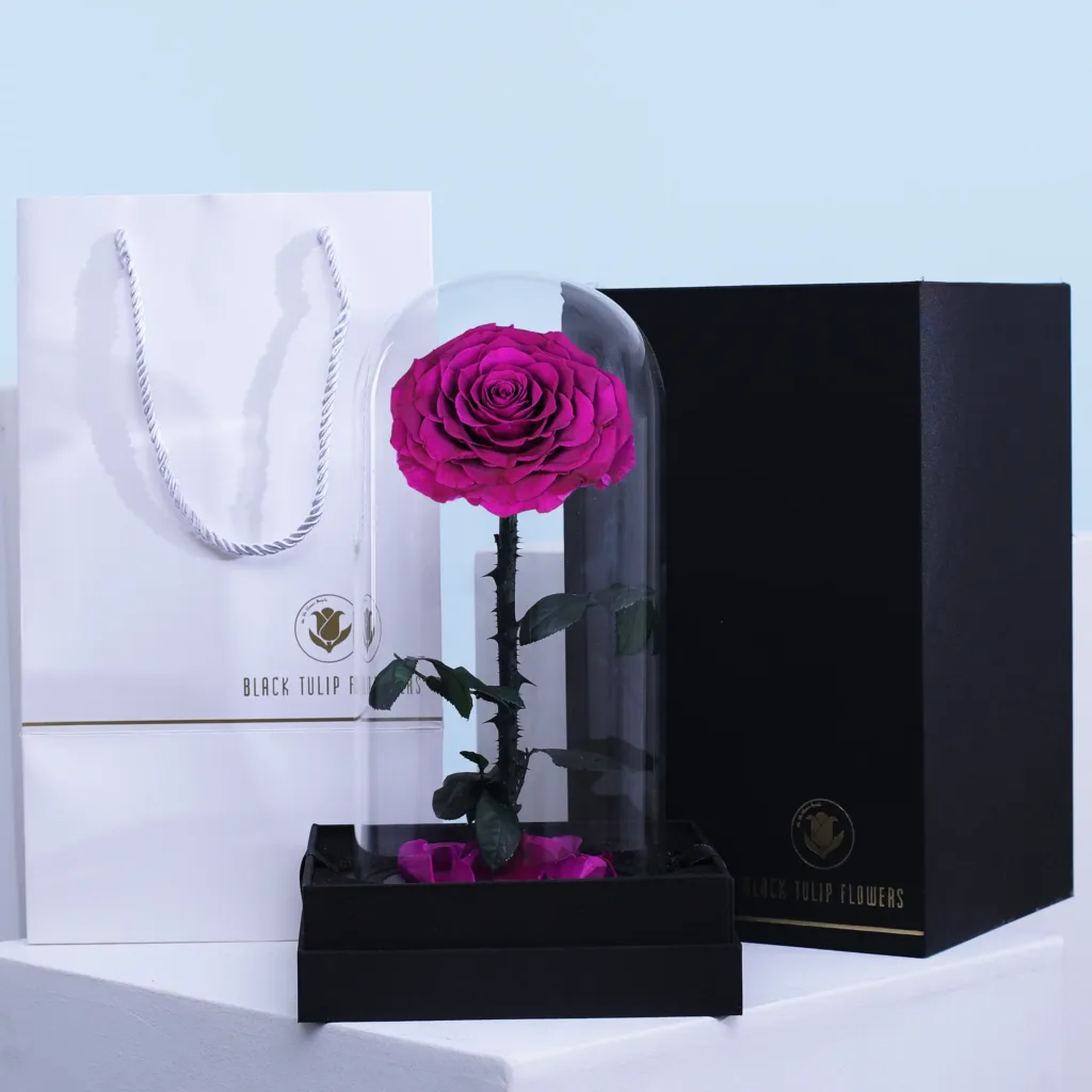 Single Purple Forever Rose