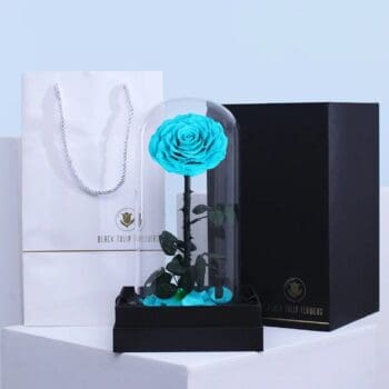Light Blue preserved forever rose displayed under glass dome