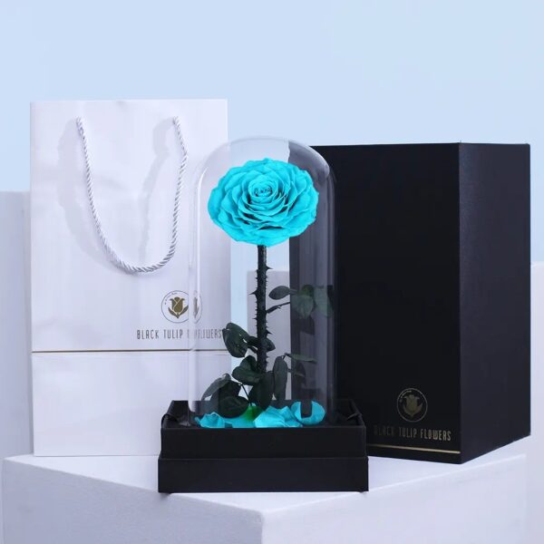 Light Blue preserved forever rose displayed under glass dome