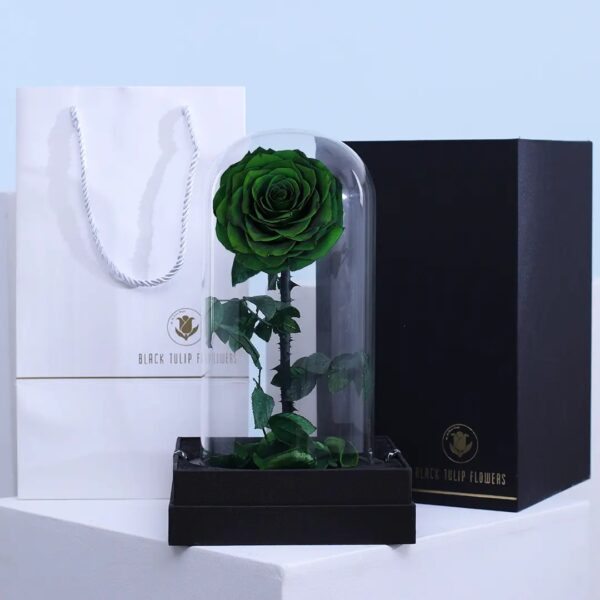 Preserved Green forever rose in glass dome